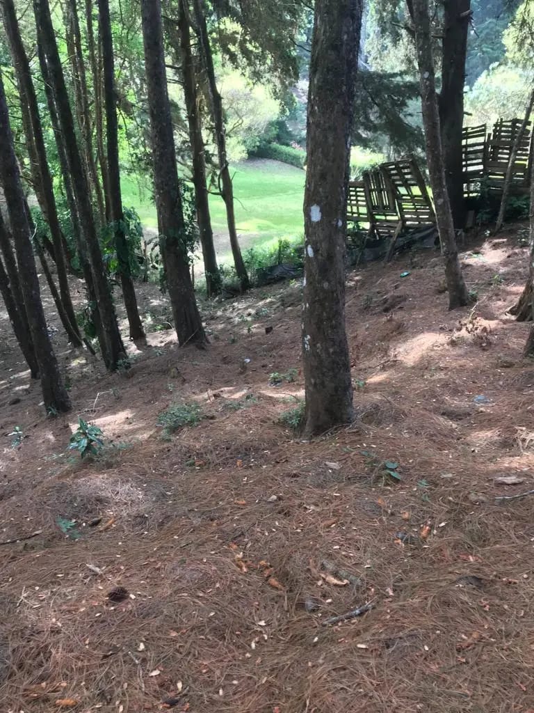 Muxbal — foto 3 de 3