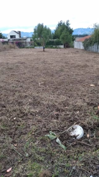Country club Altavista km. 27 — miniatura 2 de 2